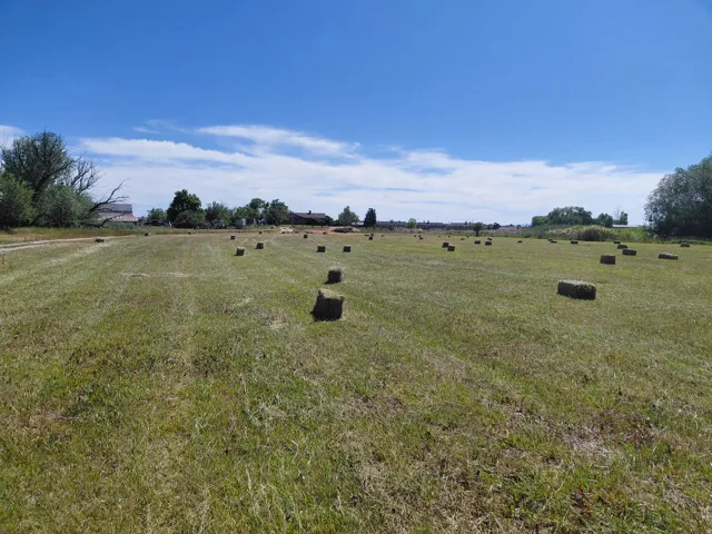 Expansive green field with natural surroundings, first cut of field hay yielded 70 bales