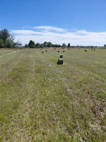 Expansive field with 70 bales on the first harvest of hay bales under a clear sky