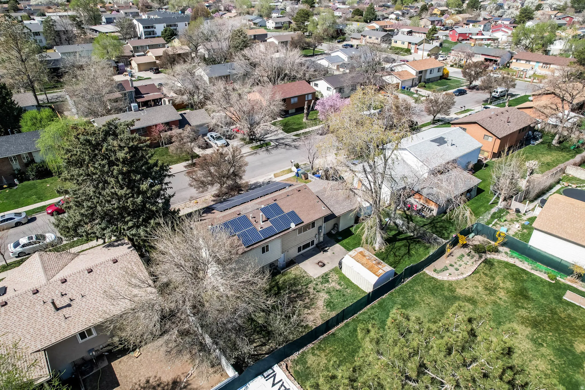 Aerial perspective showcasing a residential property with solar panels, a brown shingle roof, and a mature tree in the front yard