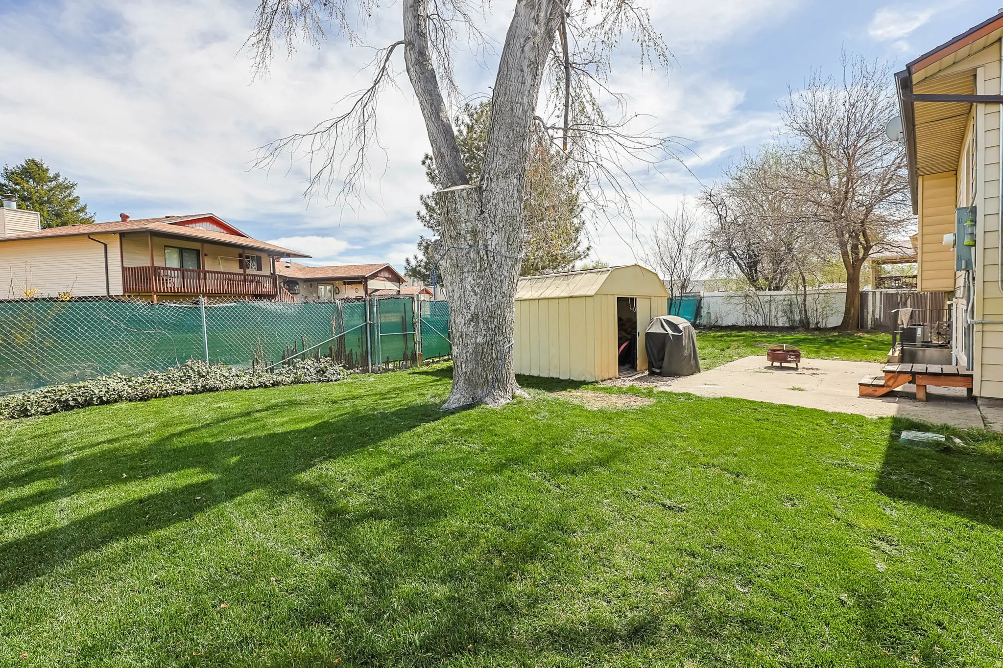 Expansive rear yard featuring a large grass area, mature trees, a concrete patio, and a storage shed