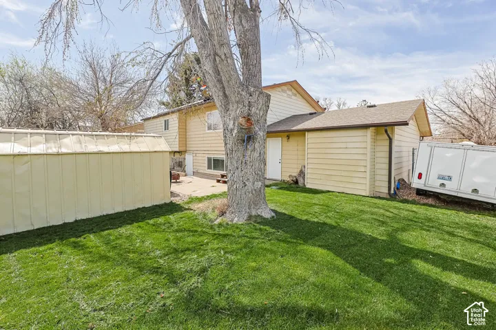 Expansive rear yard featuring green grass, a mature tree, and a building with horizontal siding