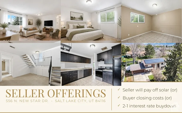 Seller Offerings. Listing financial incentives provided by the seller regarding the property