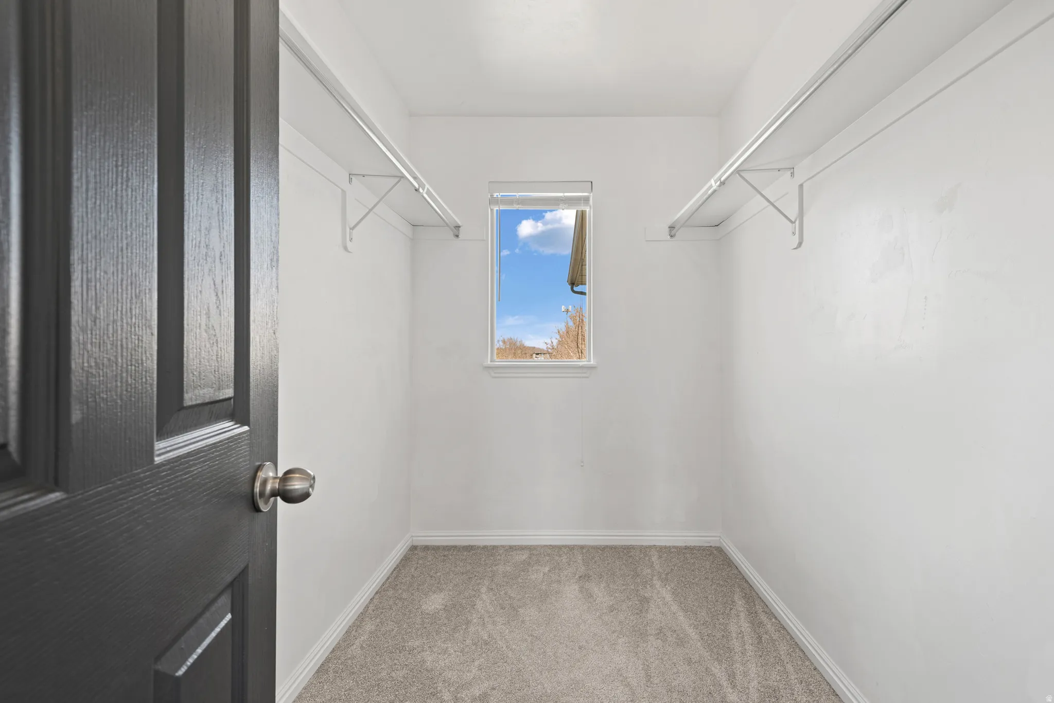 Walk in closet with light carpet