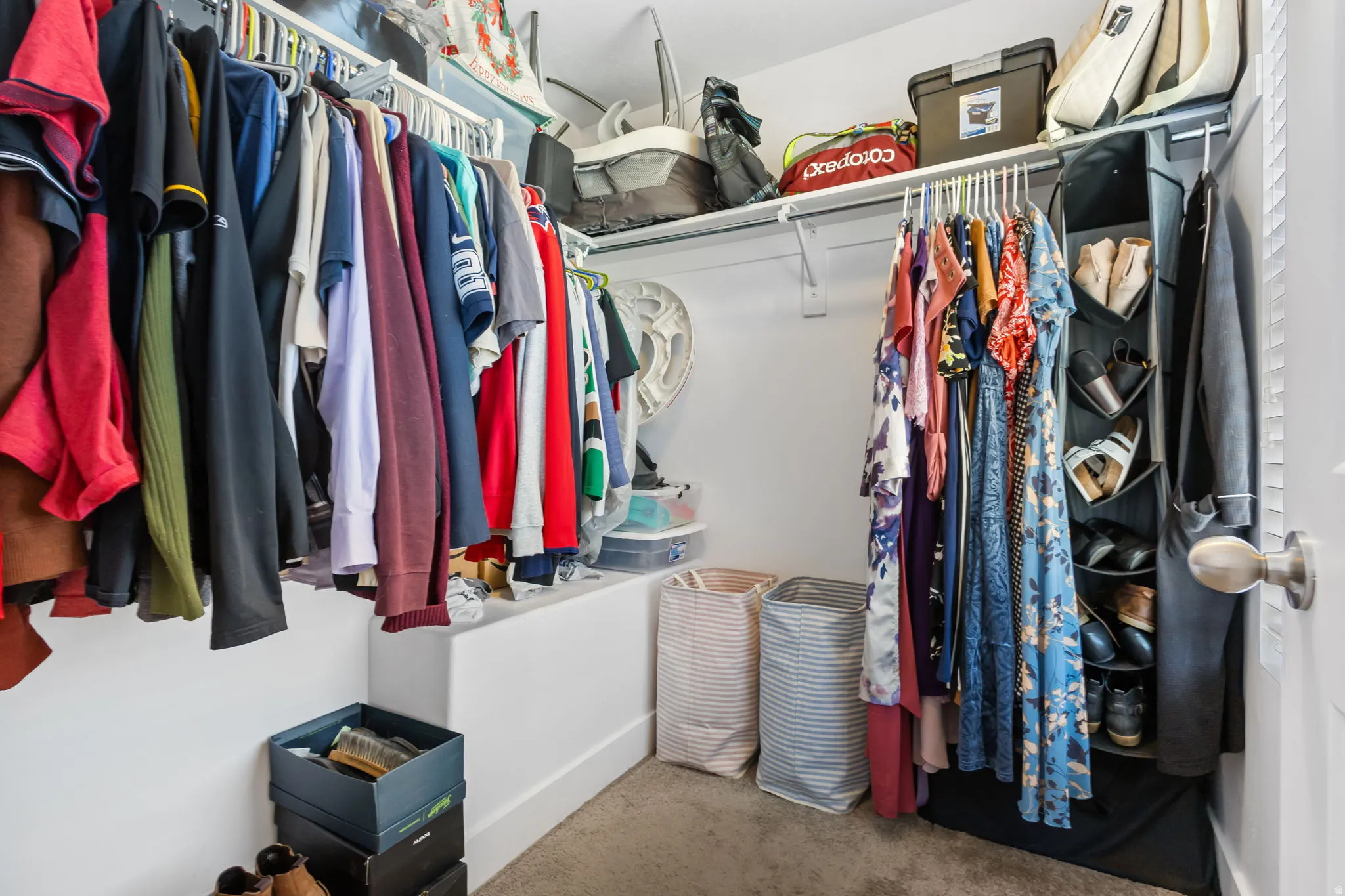 Walk in closet with carpet flooring