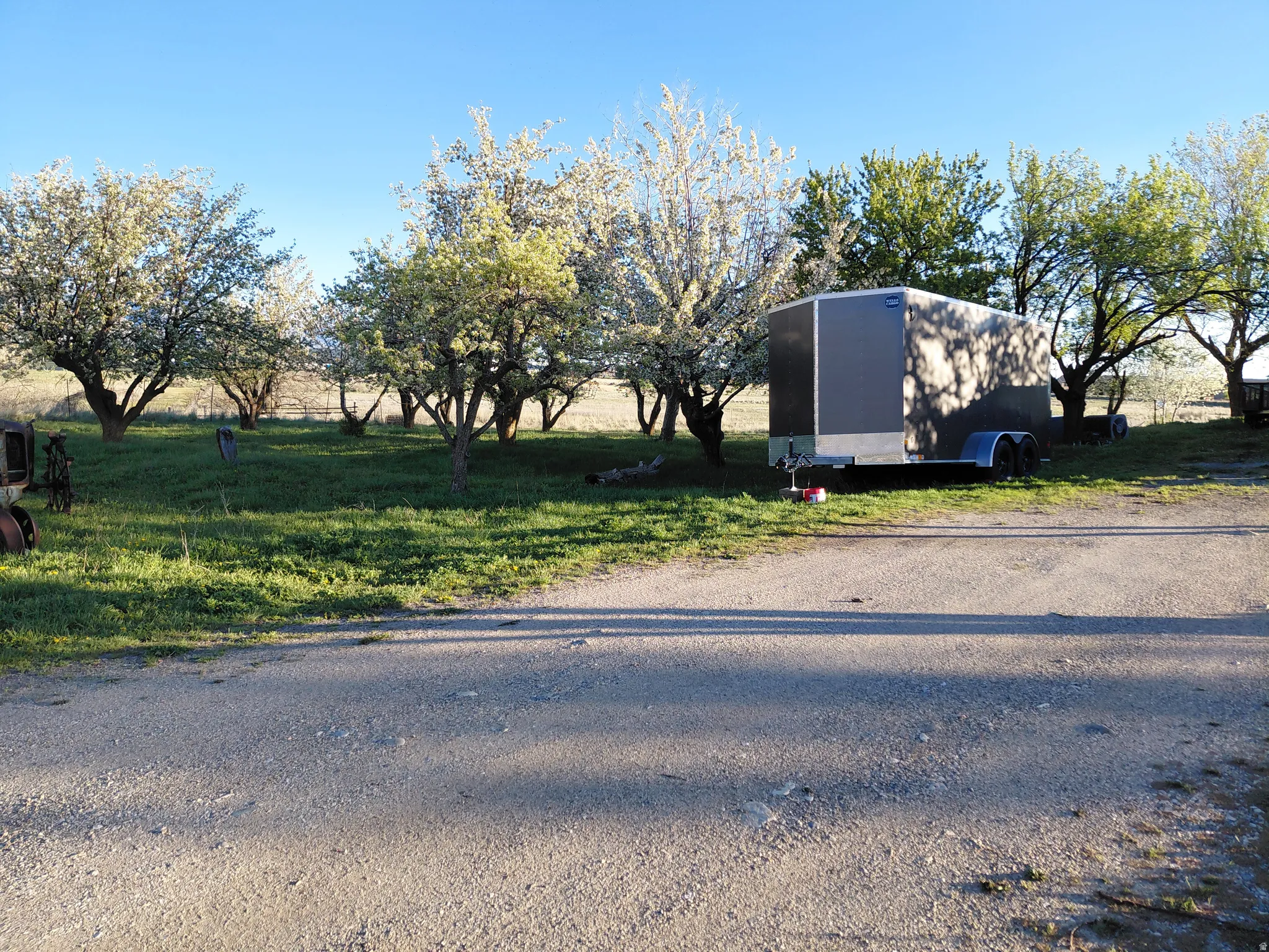 View of yard with fruit trees