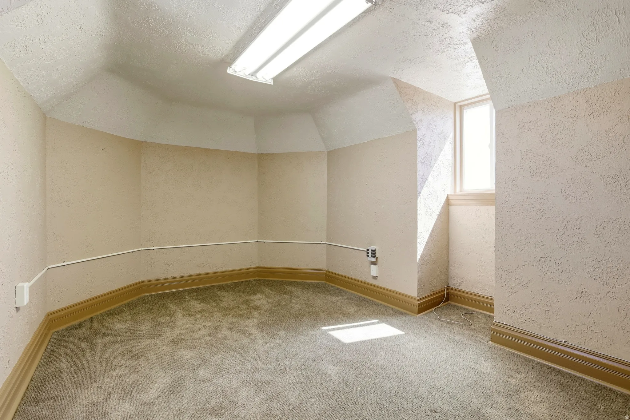 Bonus room featuring light colored carpet and a textured wall