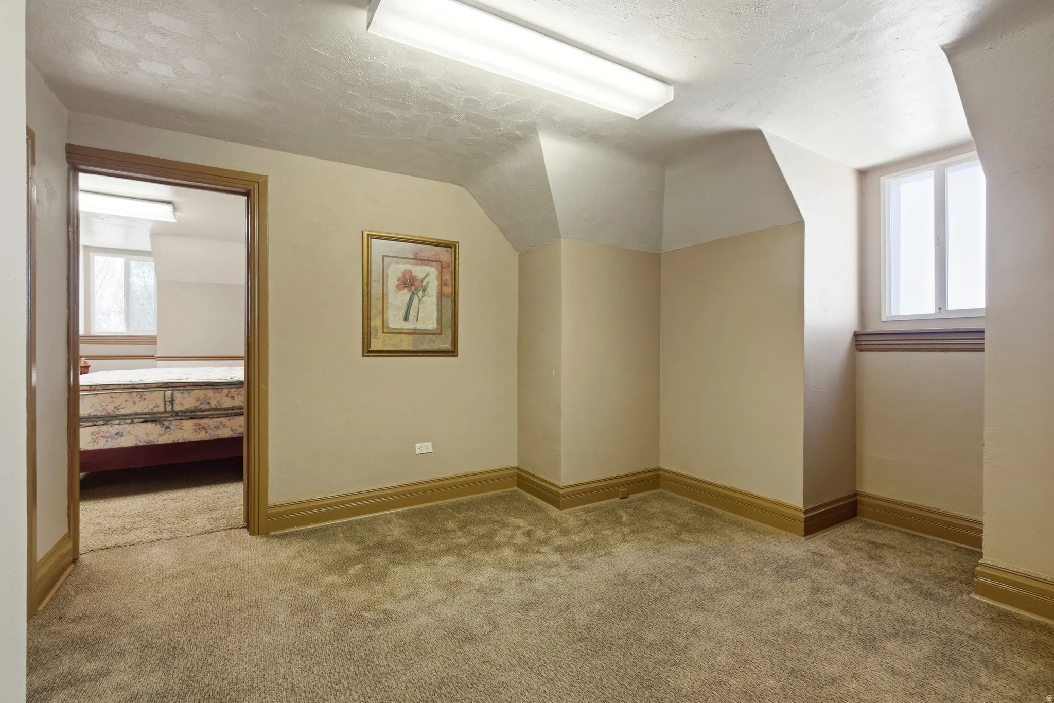 Bonus room featuring light carpet and baseboards
