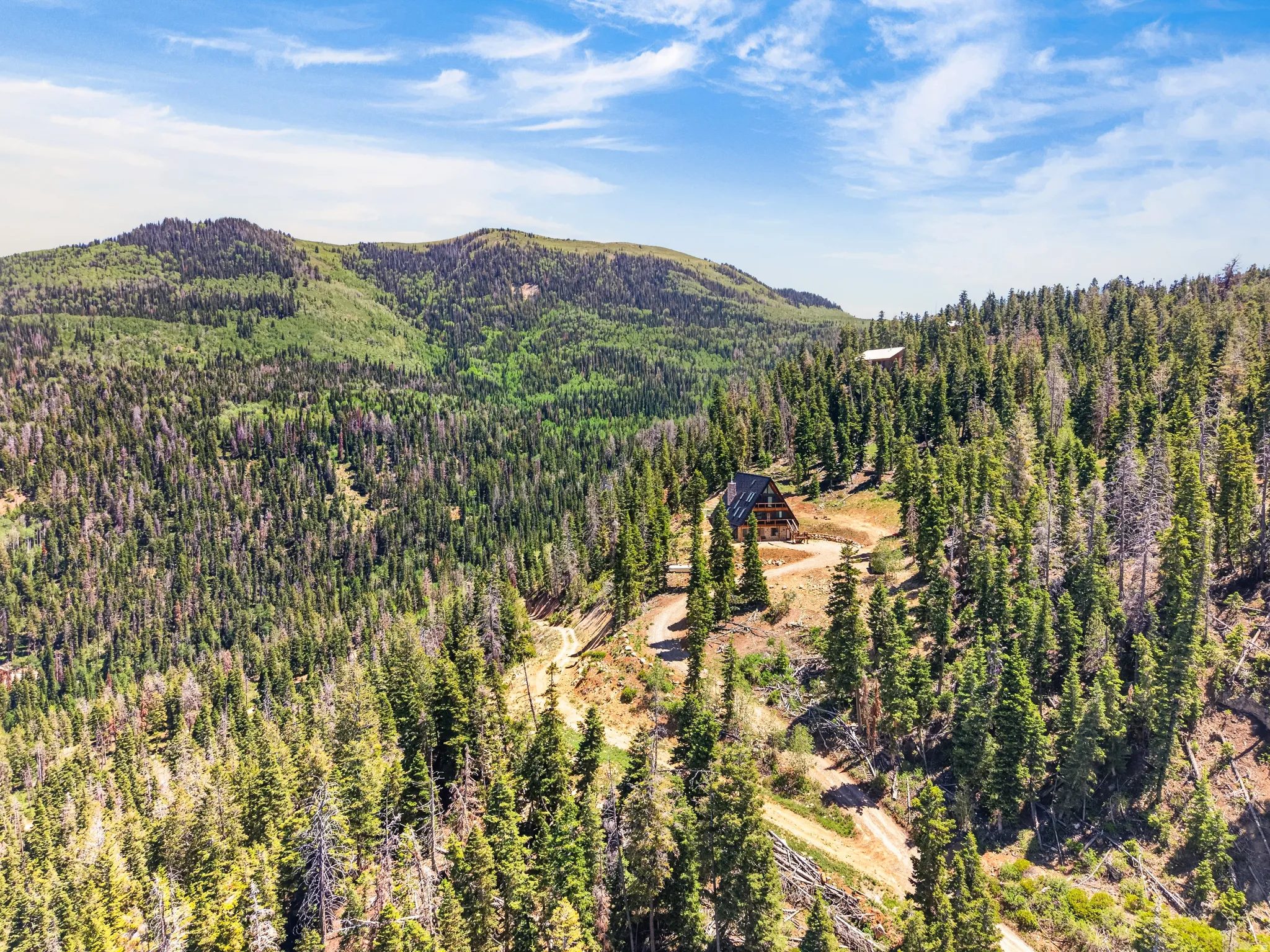 A-frame structure with a dark-pitched roof and light-toned siding, surrounded by a dense forest of evergreen trees