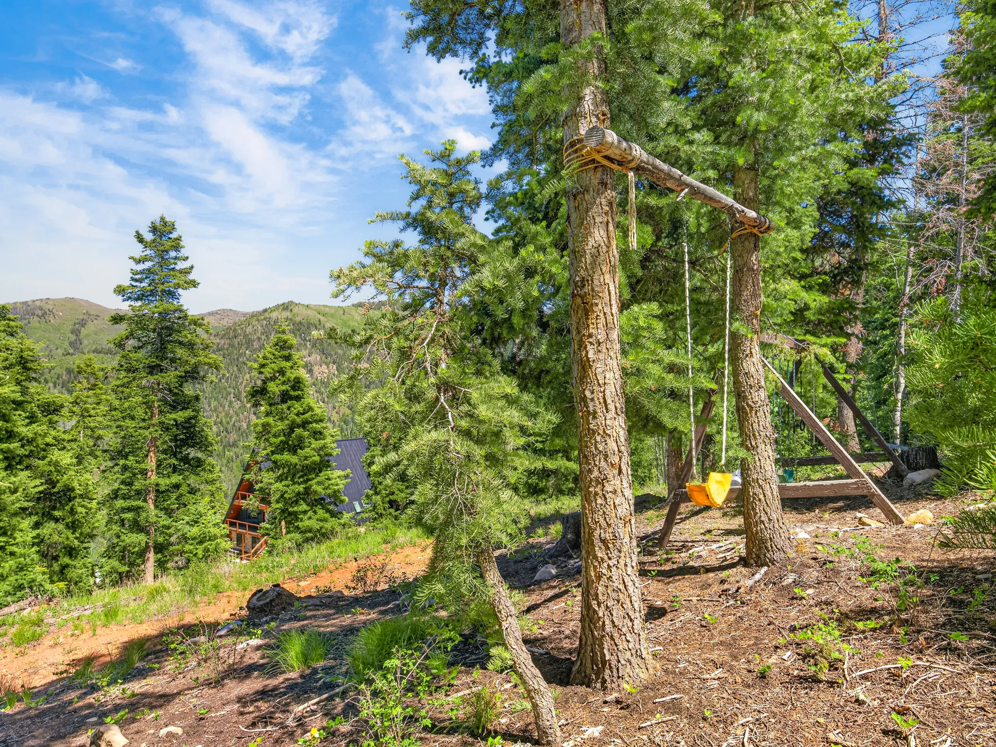 Wooded lot featuring mature evergreen trees and a sloped terrain