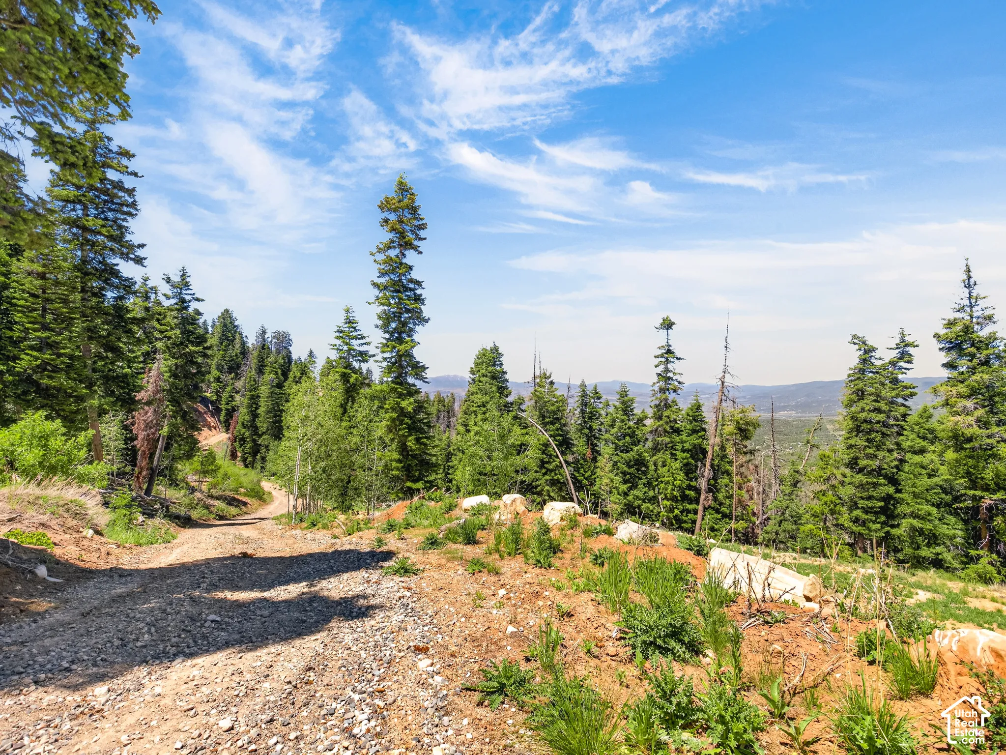 Unpaved mountain road surrounded by dense evergreen and deciduous trees under a clear blue sky with wispy clouds