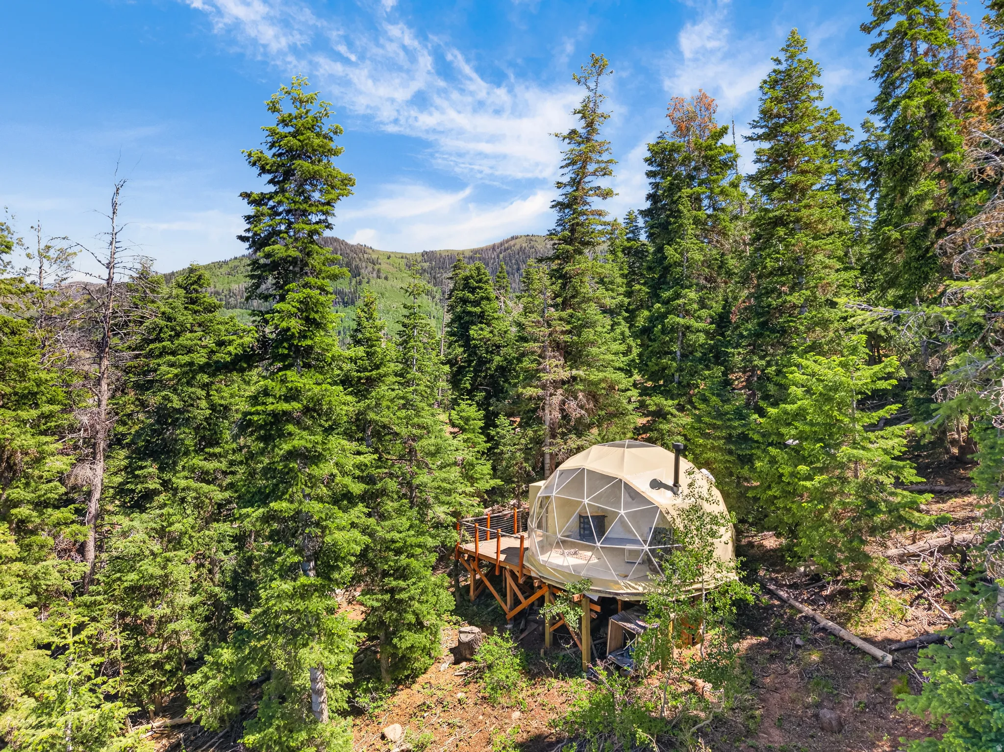 Geodesic dome structure nestled among mature evergreen trees
