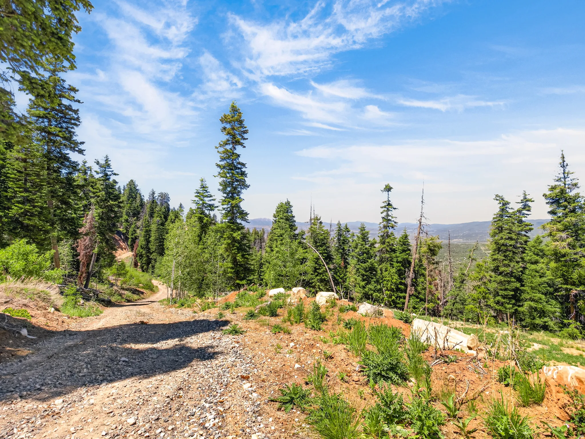 Unpaved mountain road surrounded by dense evergreen and deciduous trees under a clear blue sky with wispy clouds