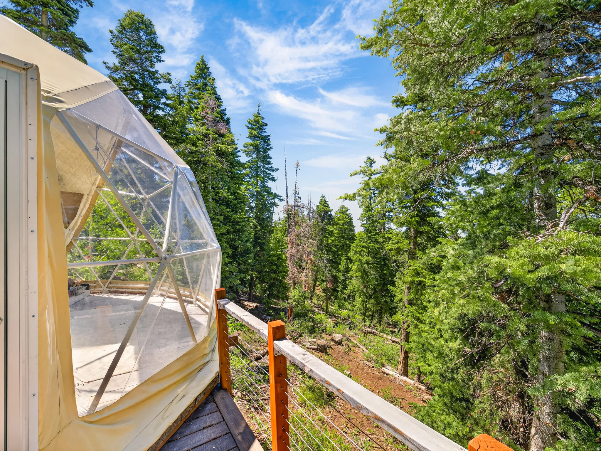 Geodesic dome structure with a transparent paneling section and a canvas base