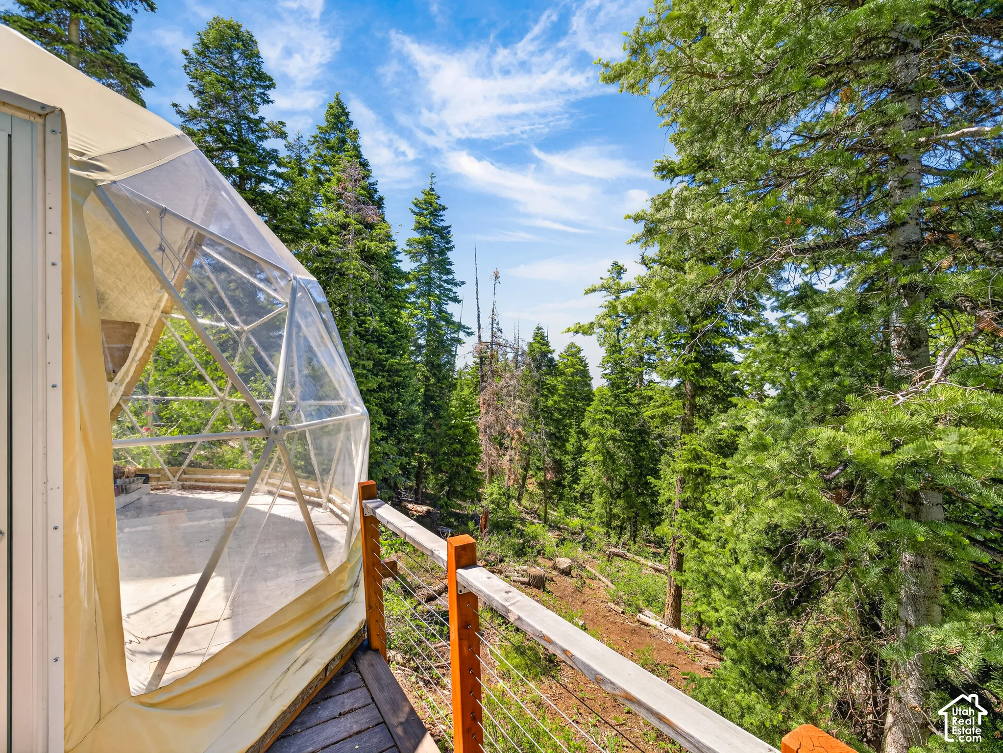 Geodesic dome structure with a transparent paneling section and a canvas base