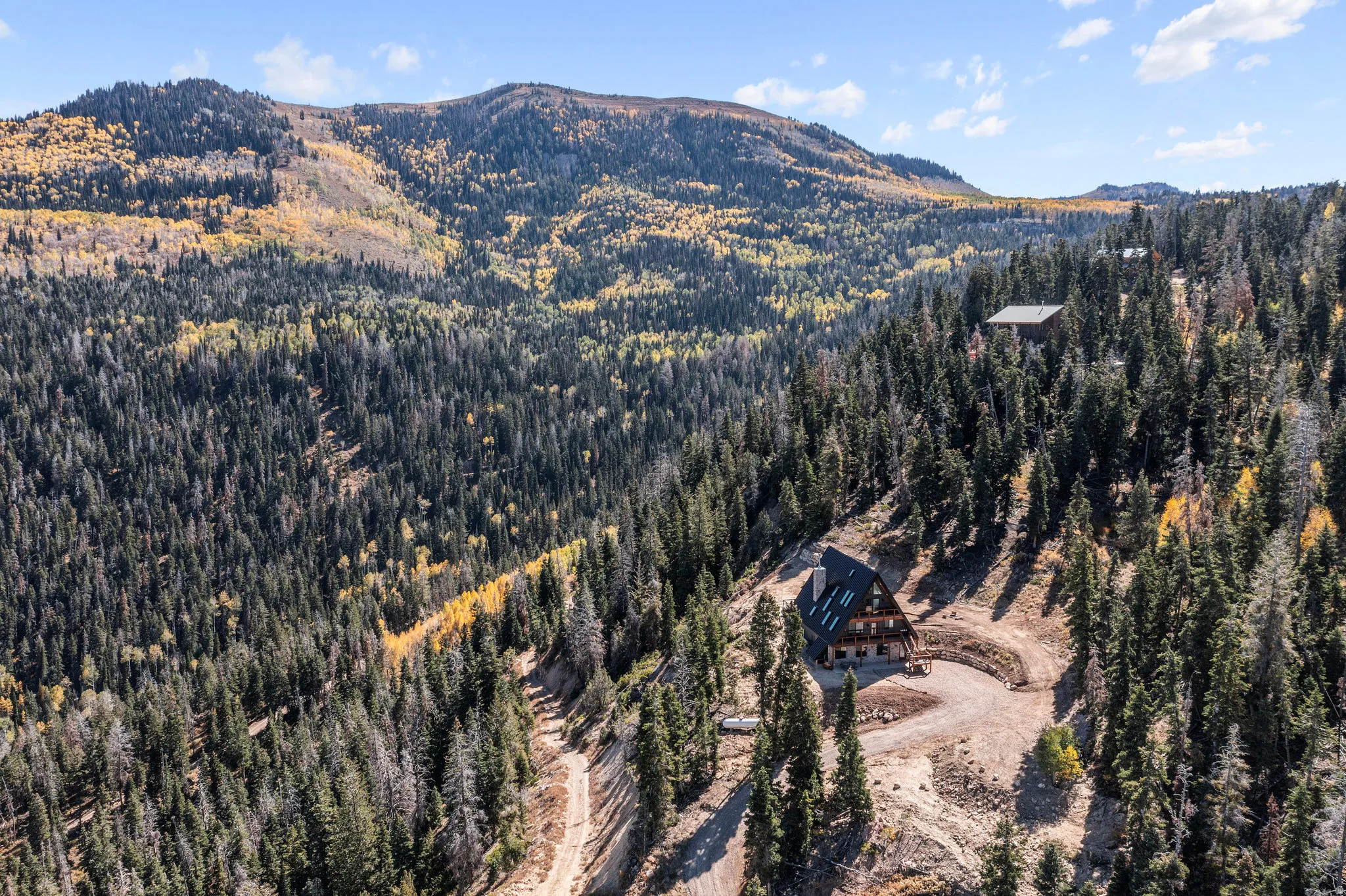 View of mountain background with a heavily wooded area