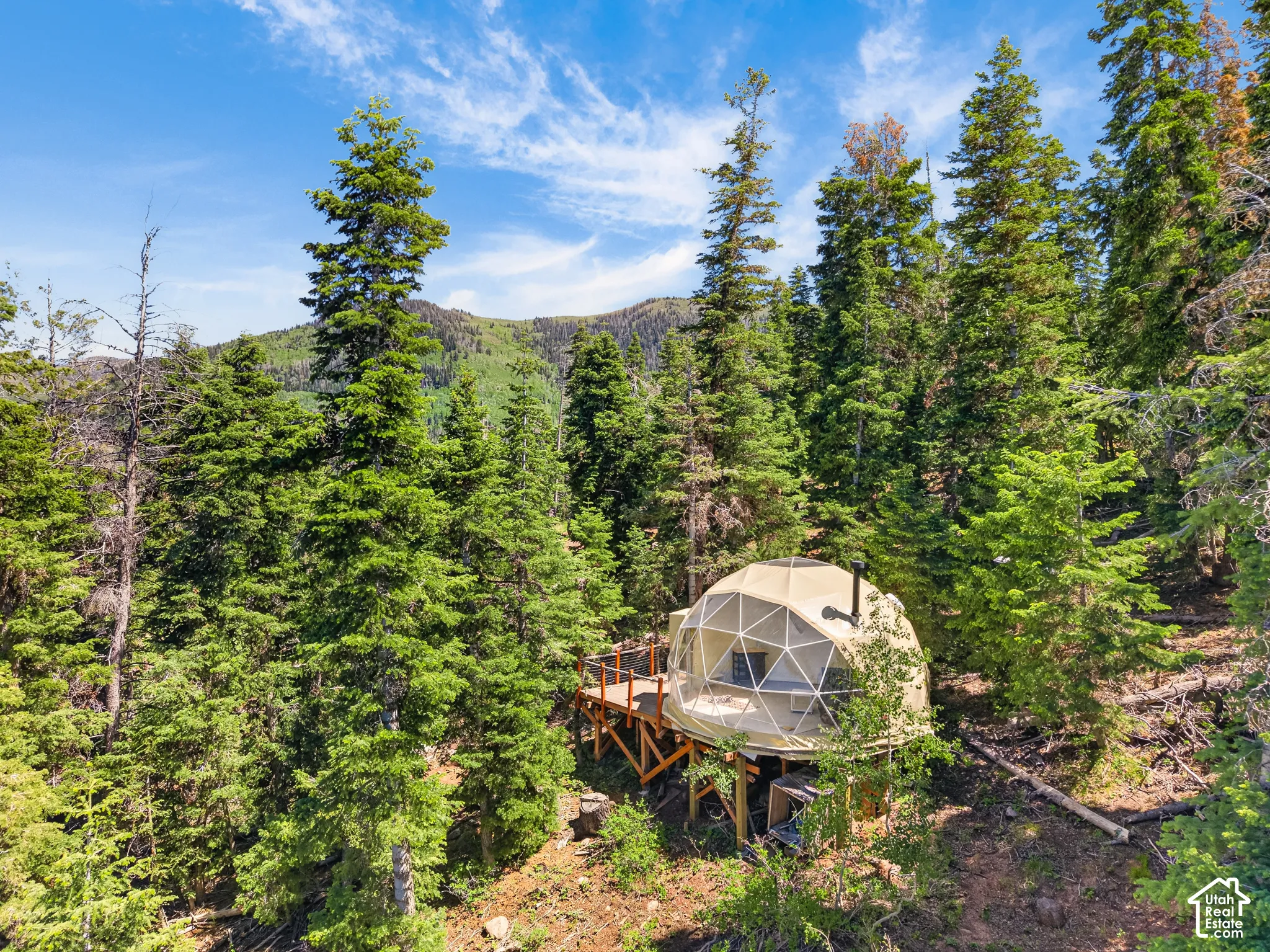 Geodesic dome structure nestled among mature evergreen trees