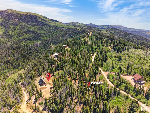 Mountainous terrain featuring dense evergreen and deciduous trees