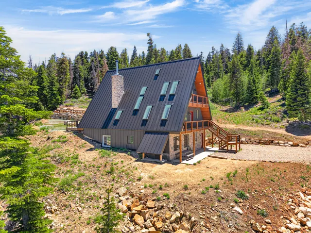 A-frame residence featuring a dark metal roof and multiple skylights