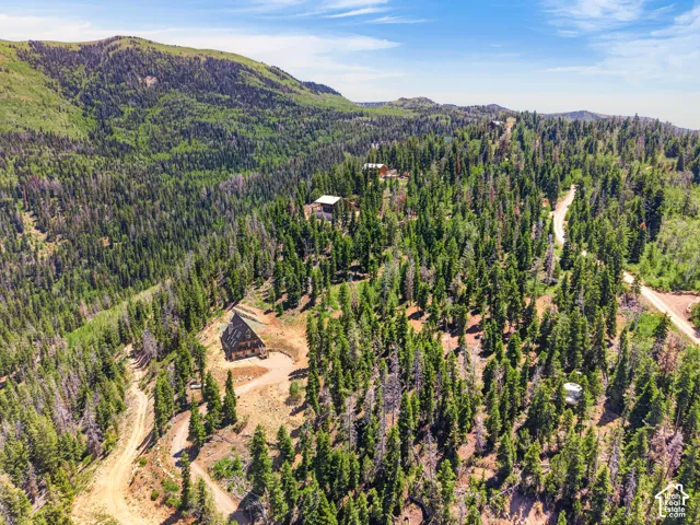Sprawling wooded property featuring multiple structures, mountain terrain, and winding dirt roads