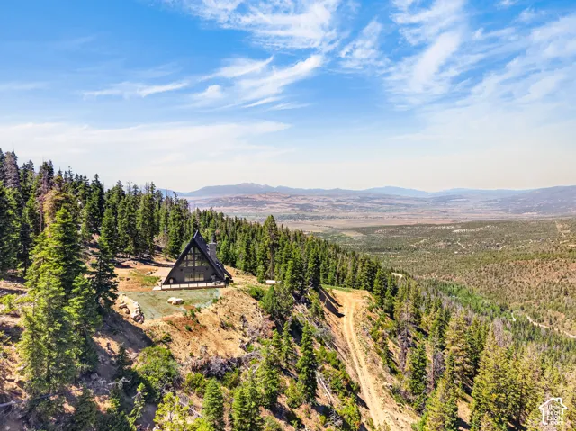 A-frame architectural style with expansive glazing, surrounded by mature evergreen trees