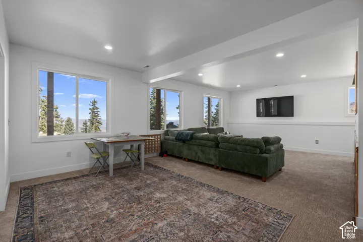 Living area with dark carpet and recessed lighting
