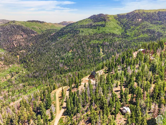 Sprawling mountain landscape featuring extensive tree coverage