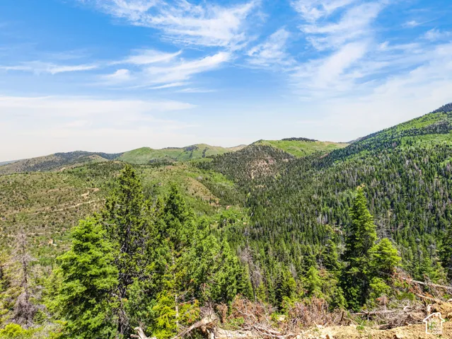 Expansive mountain landscape featuring varied evergreen and deciduous tree coverage