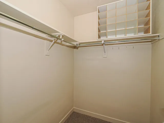 Walk in closet featuring dark colored carpet