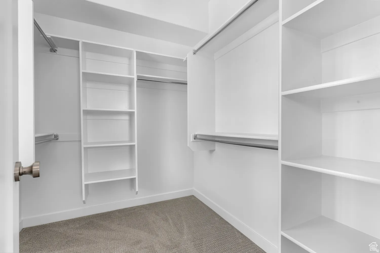 Walk in closet featuring light colored carpet