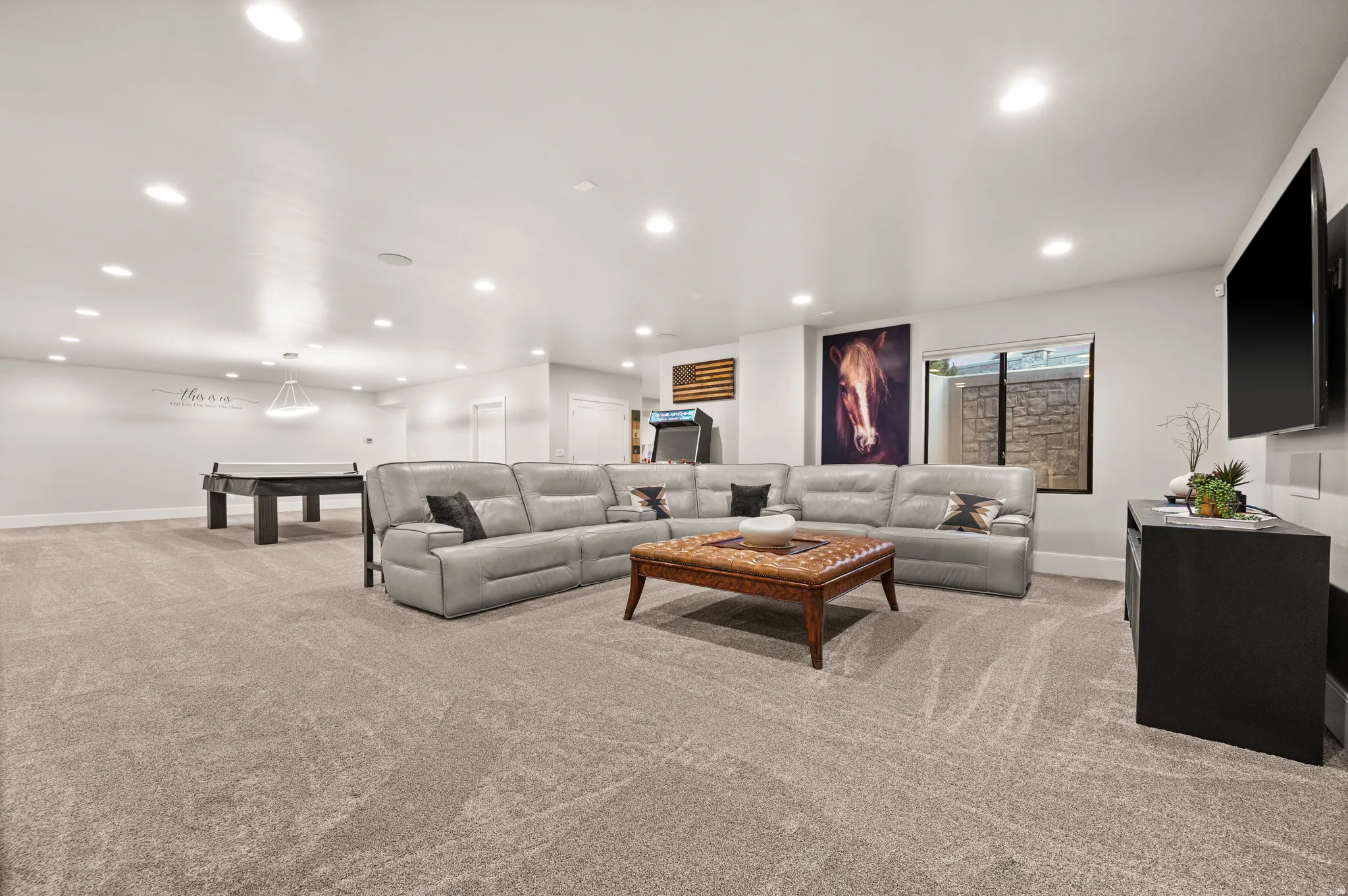 Basement Living Room