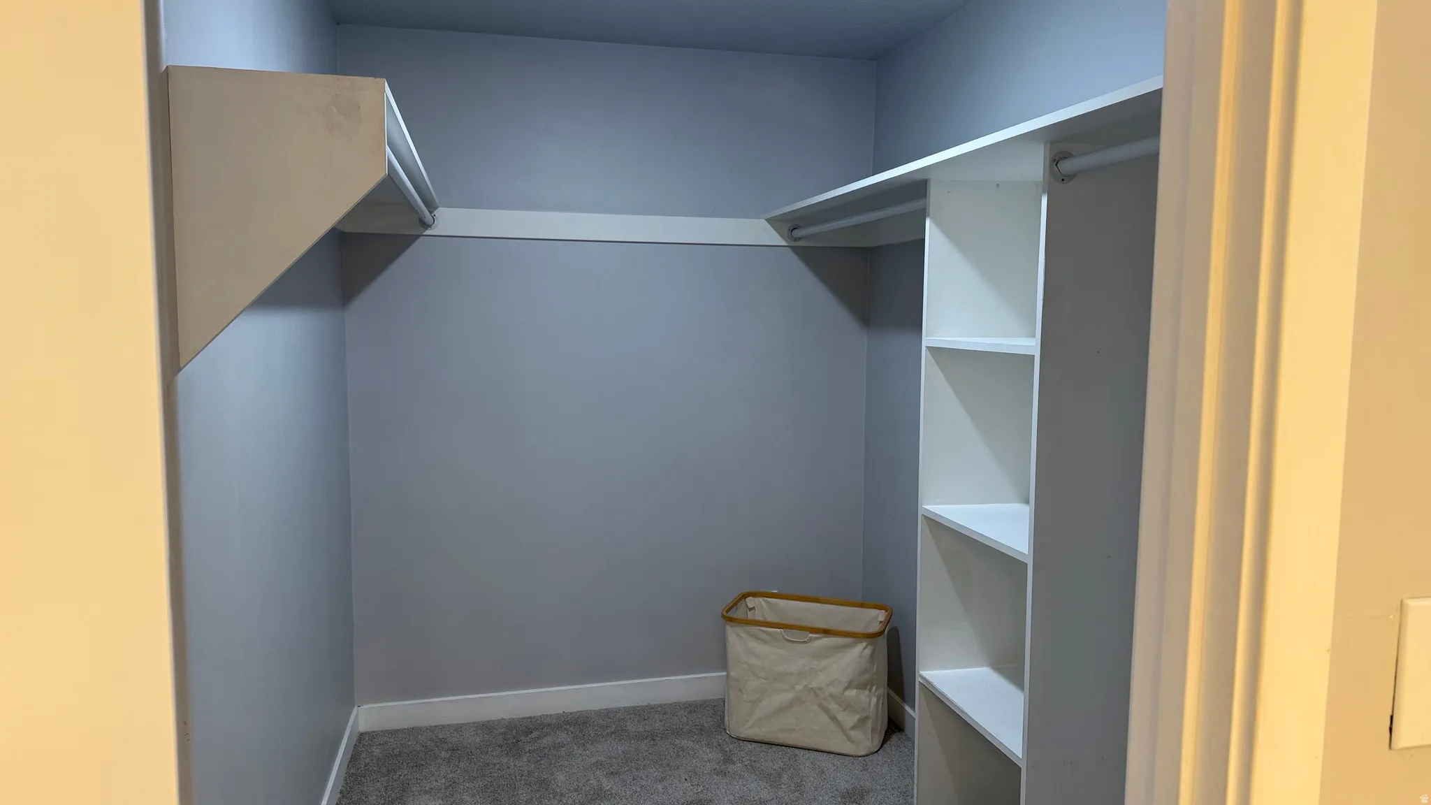 Walk in closet with light carpet