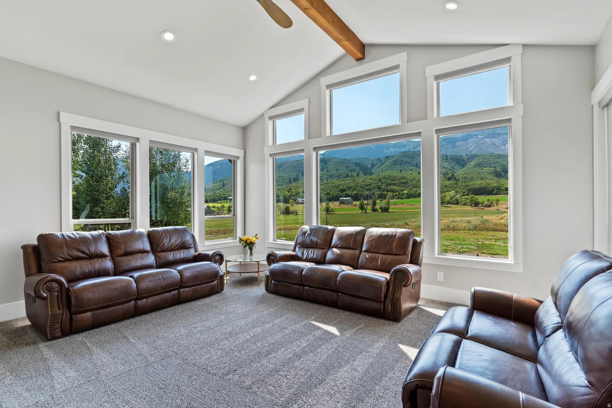 TV Family room area with a ceiling fan, carpet flooring, plenty of natural light with views, and recessed lighting