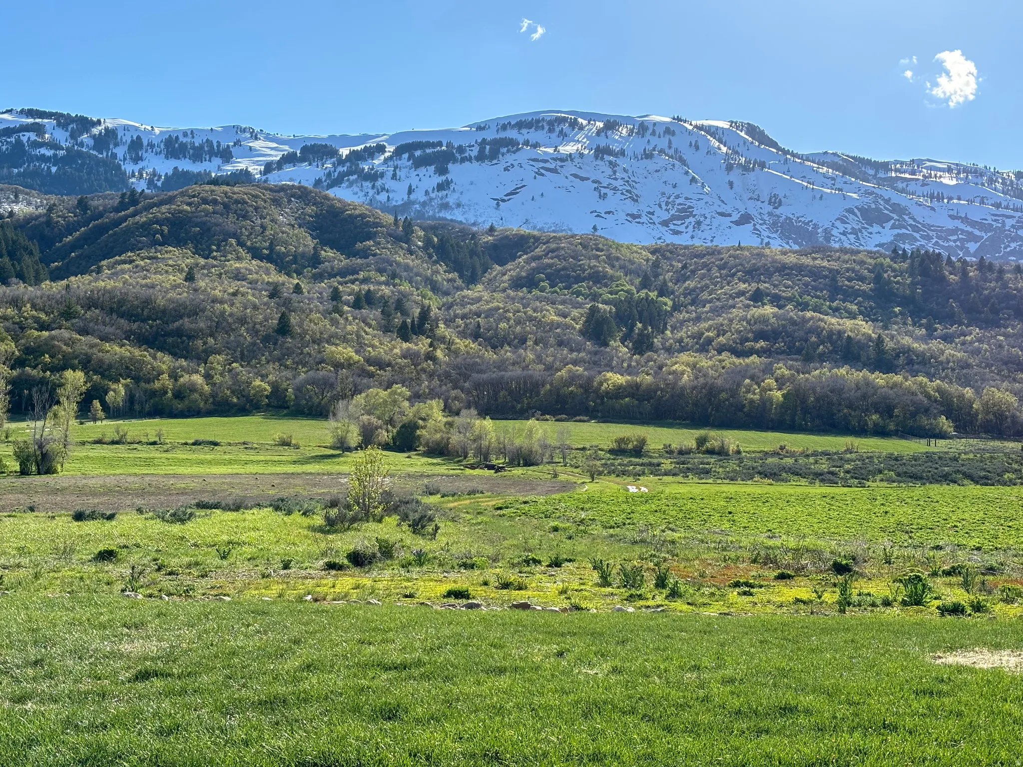 View of mountain backdrop featuring rural landscape