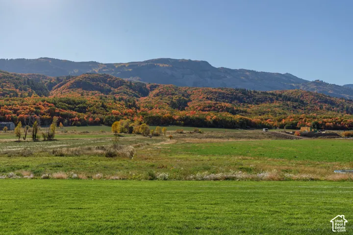 Expansive open field with green grass and distant mountains