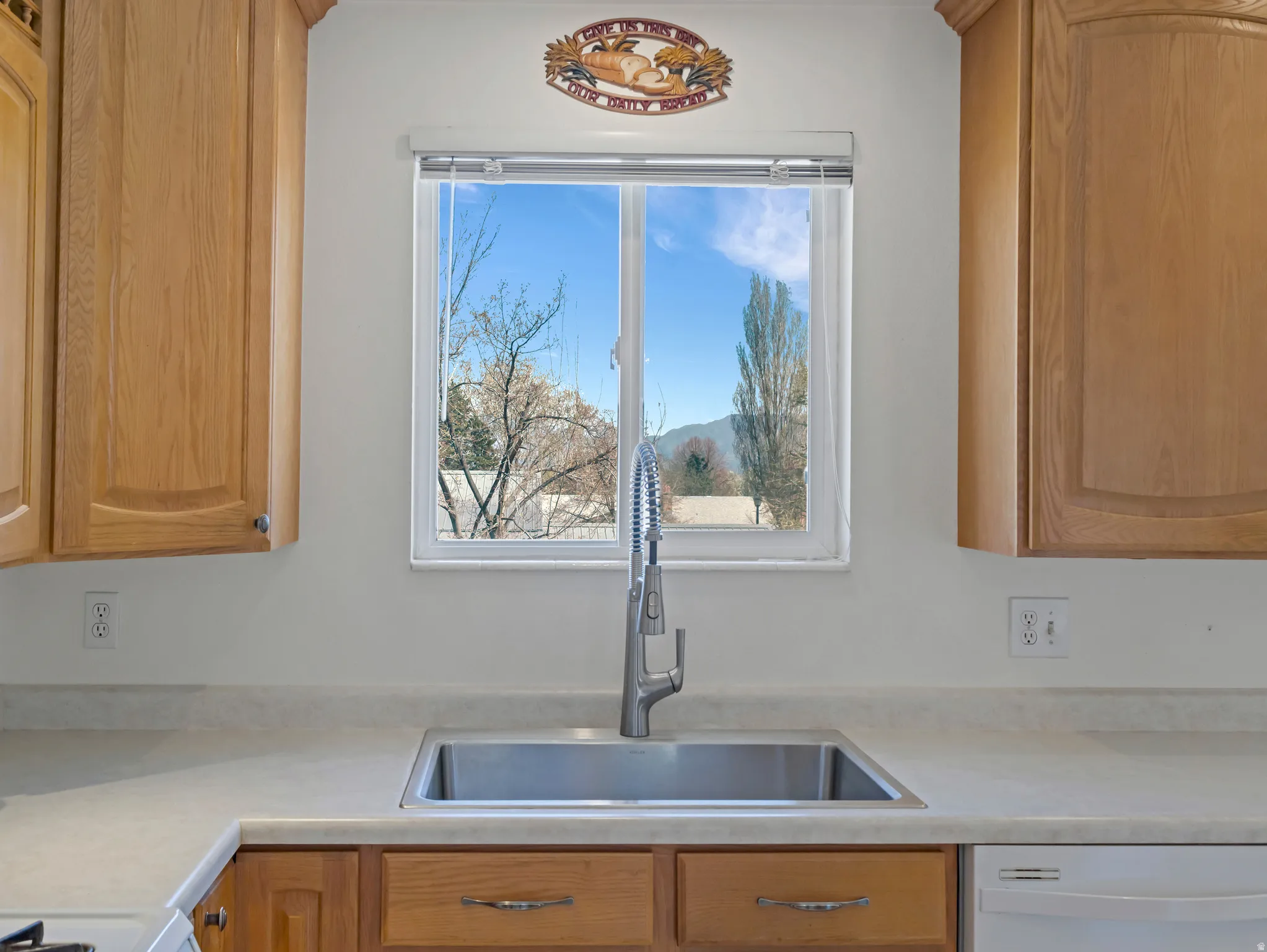 Kitchen featuring light countertops, dishwasher, and wood finish cabinetry