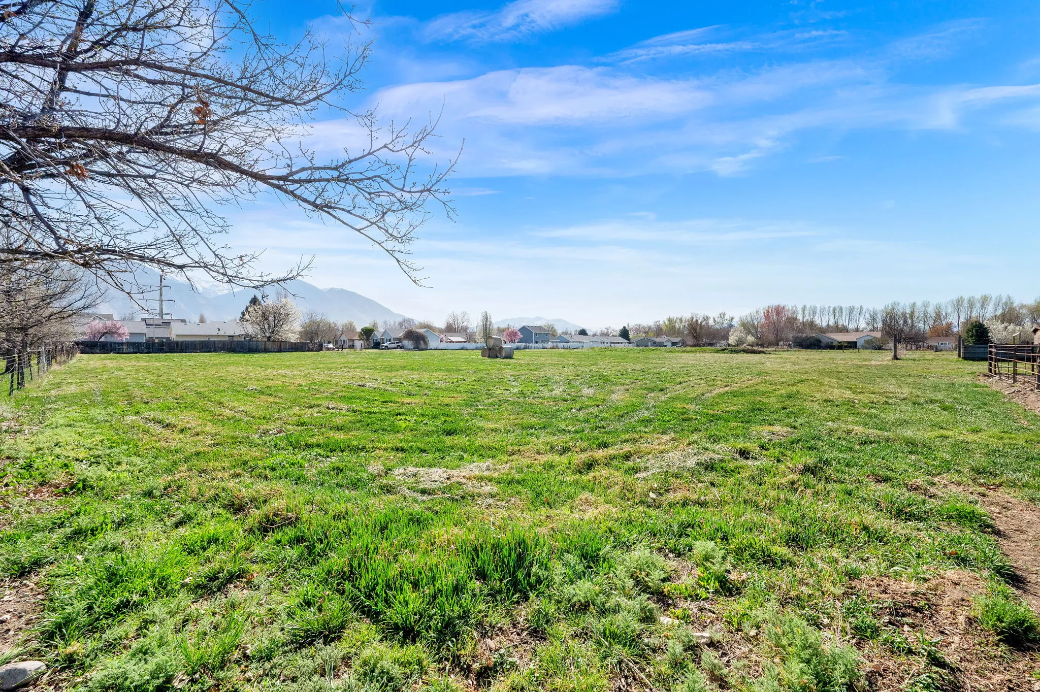 View of yard featuring a mountain view and a view of rural / pastoral area