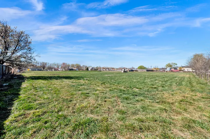 View of grassy yard