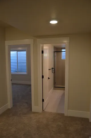 Recessed ceiling lighting, white trim and doors, neutral wall paint, and plush carpeting