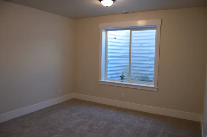 Neutral wall paint, plush carpet flooring, white trim, and a window with a white frame