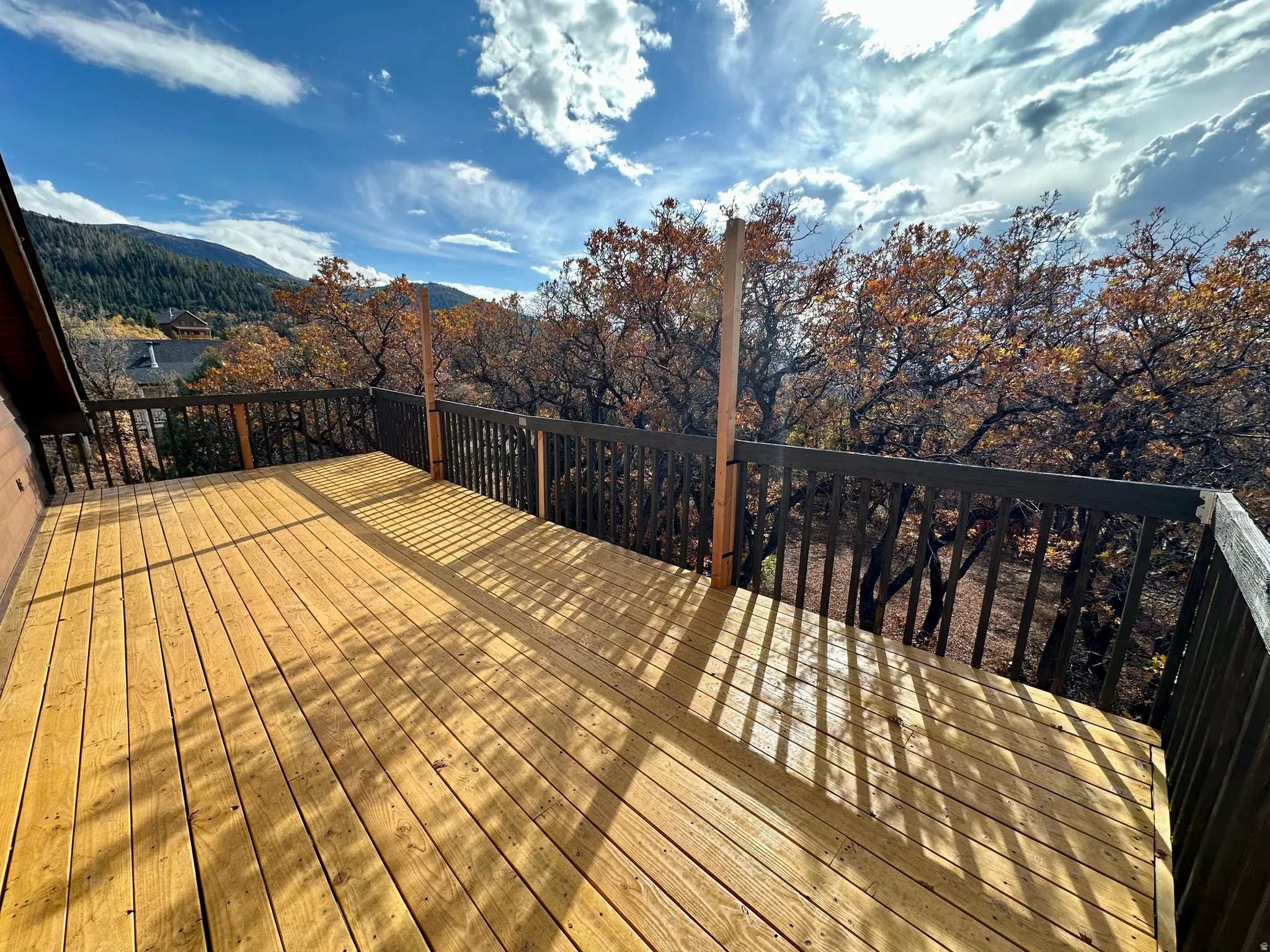 Wooden deck with a wooded view