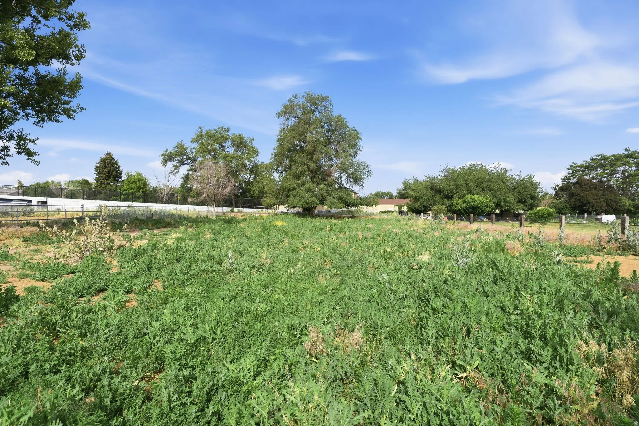 Expansive land parcel featuring open terrain, mature trees, partial fencing, and a clear sky backdrop