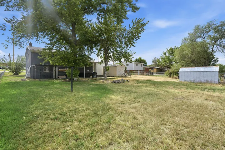 Expansive lawn with mature trees and a detached shed