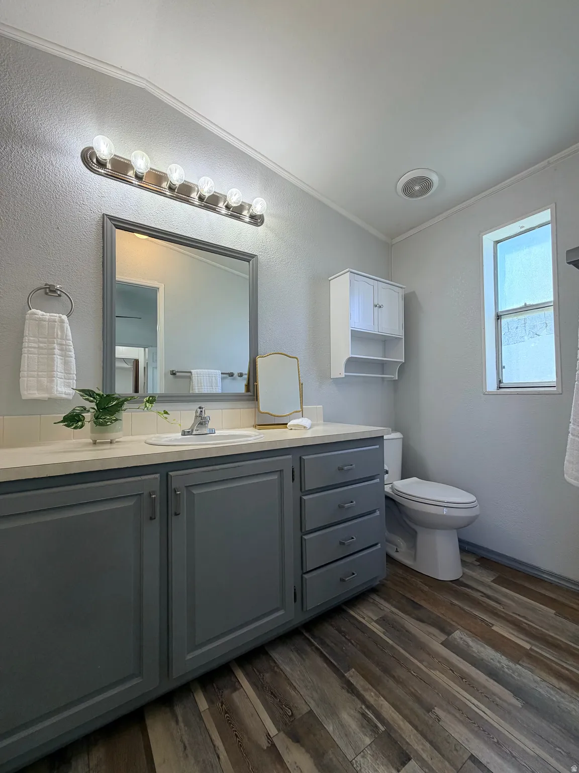 Bathroom featuring vanity, dark wood-style floors, a textured wall, and crown molding