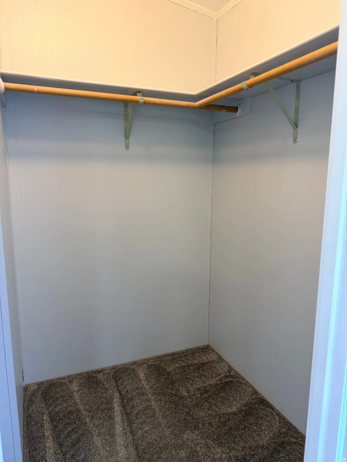 Walk in closet featuring carpet flooring