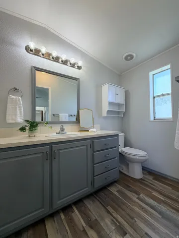 Bathroom featuring vanity, dark wood-style floors, a textured wall, and crown molding