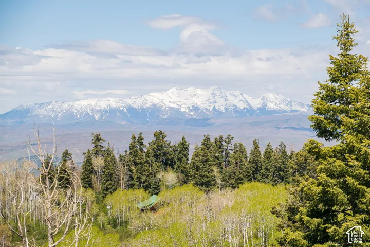 23200 N Hillside Dr #g-28, Fairview, Utah 84629