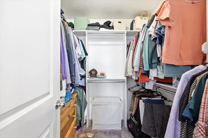 Walk in closet featuring carpet floors