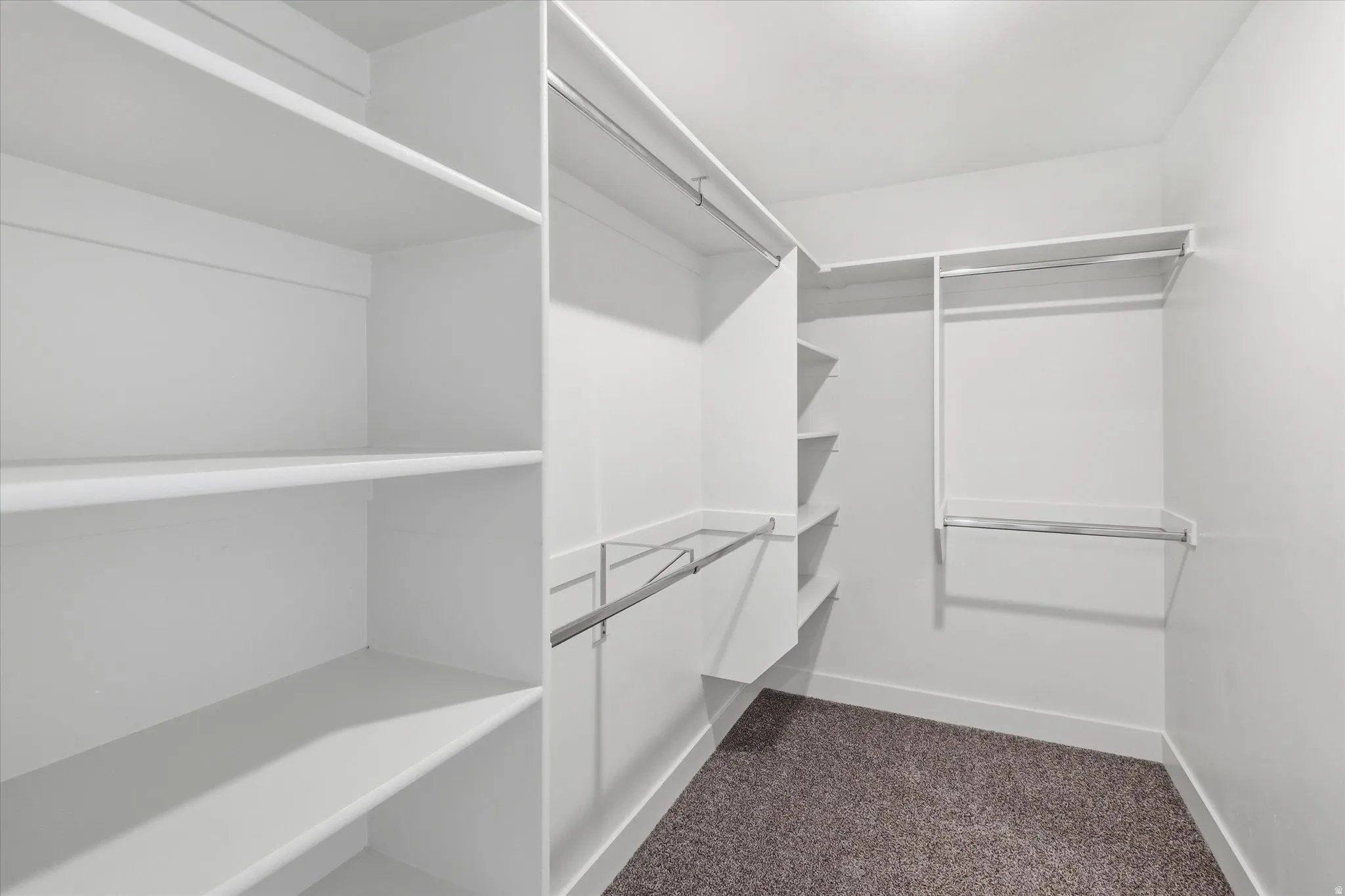 Primary Walk in closet featuring dark carpet