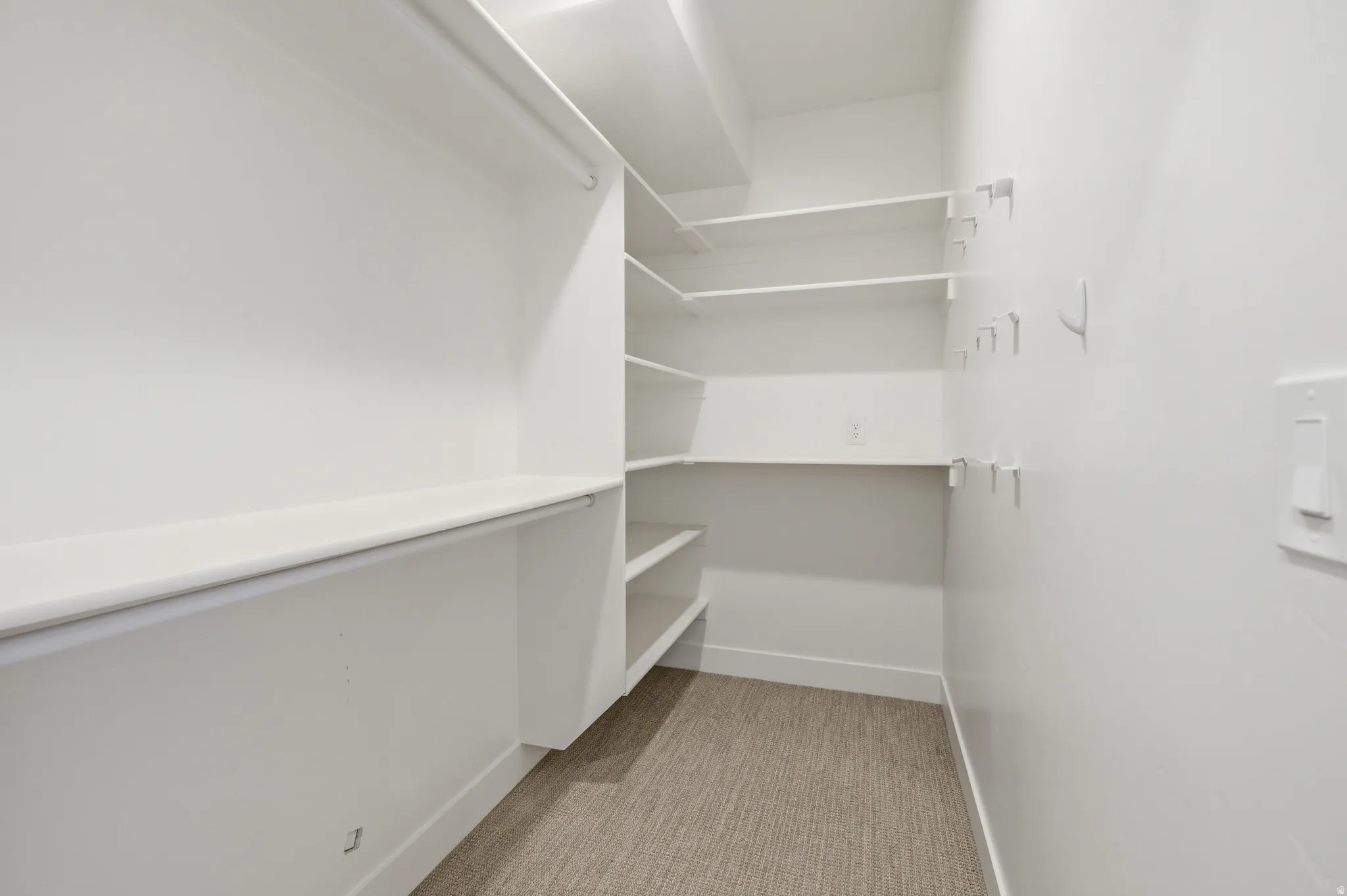 Walk-in closet with extensive built-in shelving, hanging rods, and neutral-toned carpeting
