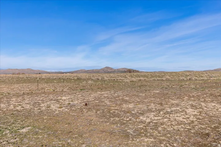 West - Facing Perspective